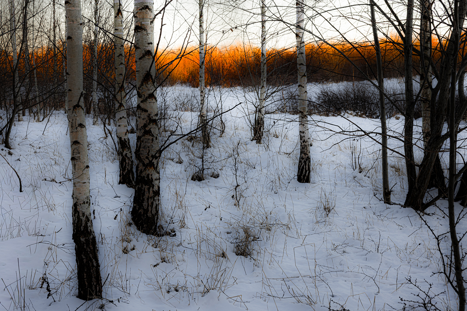 MF-JAN-26--01-frit E