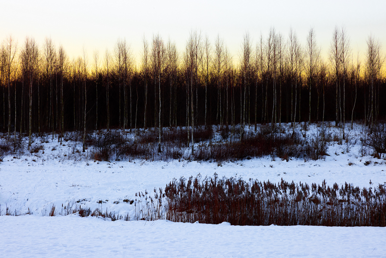 MF-JAN-26--02-frit E