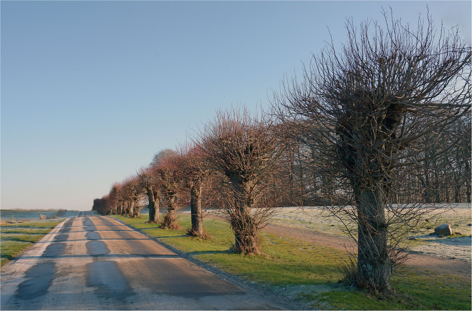 MF-JAN-26--14-frit E